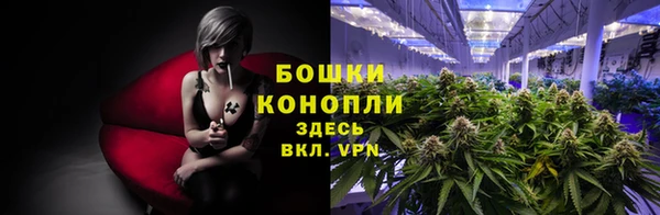 спайс Аркадак
