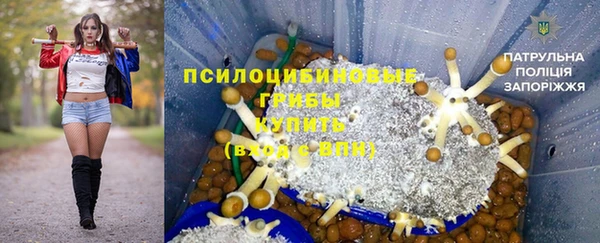 метадон Армянск