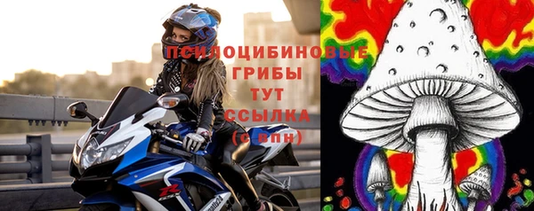 метадон Армянск