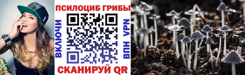 купить наркоту Камбарка кракен Псилоцибиновые грибы мухоморы